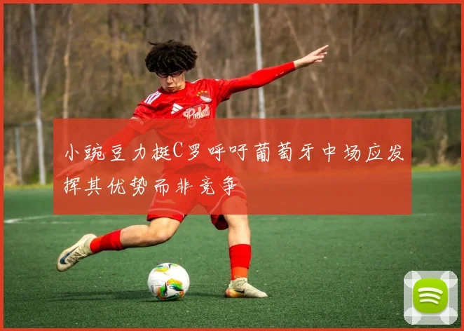小豌豆力挺C罗呼吁葡萄牙中场应发挥其优势而非竞争